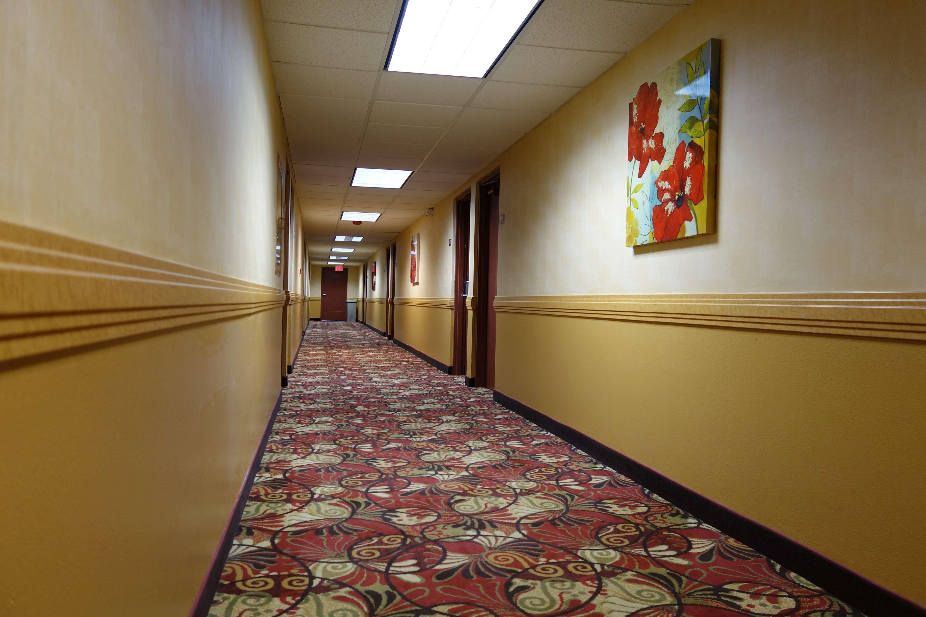 Hotel Ramada By Wyndham Sacramento North Highlands Exteriér fotografie